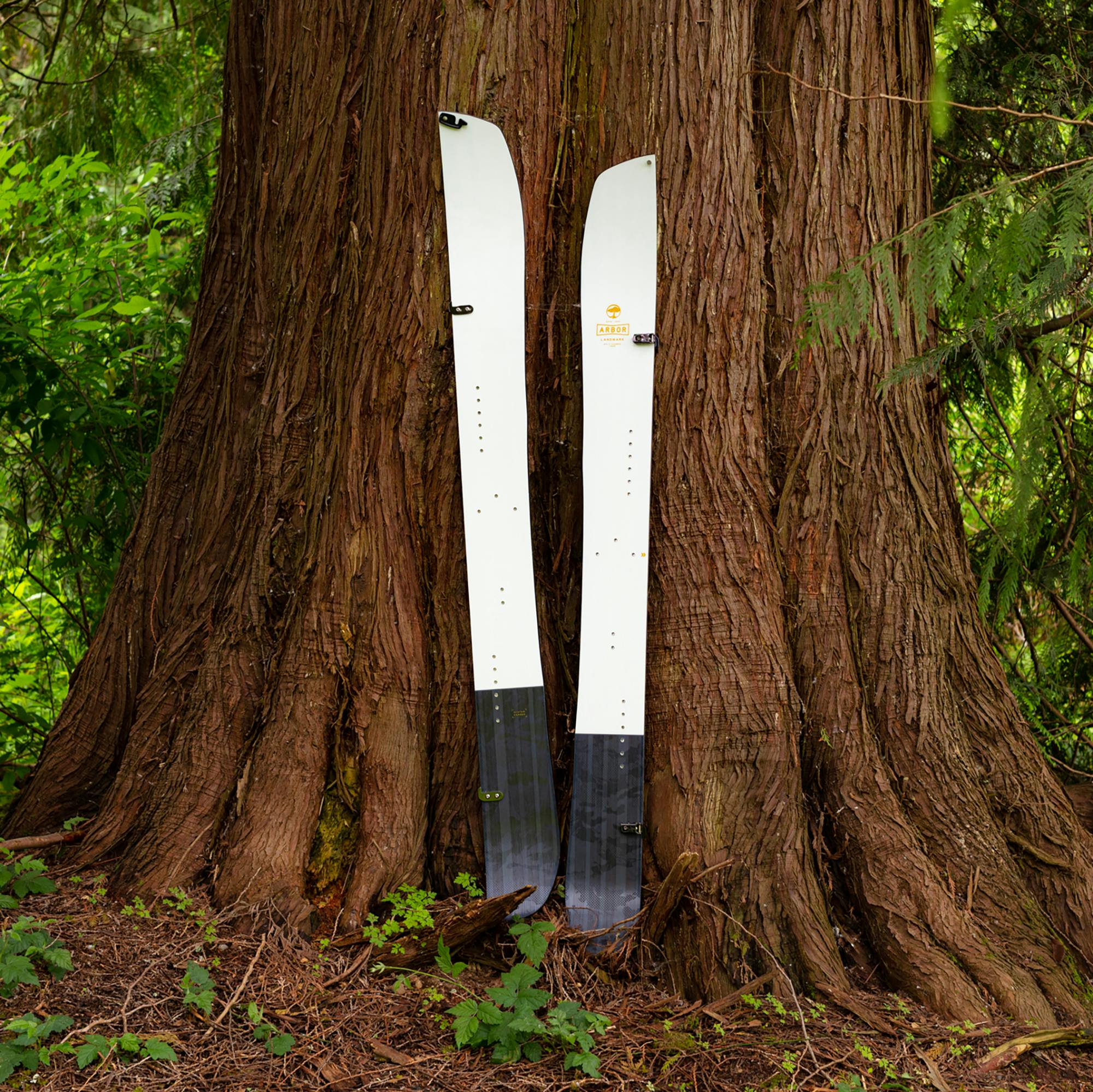 Arbor Landmark Camber Splitboard · 2024 · 158 cm