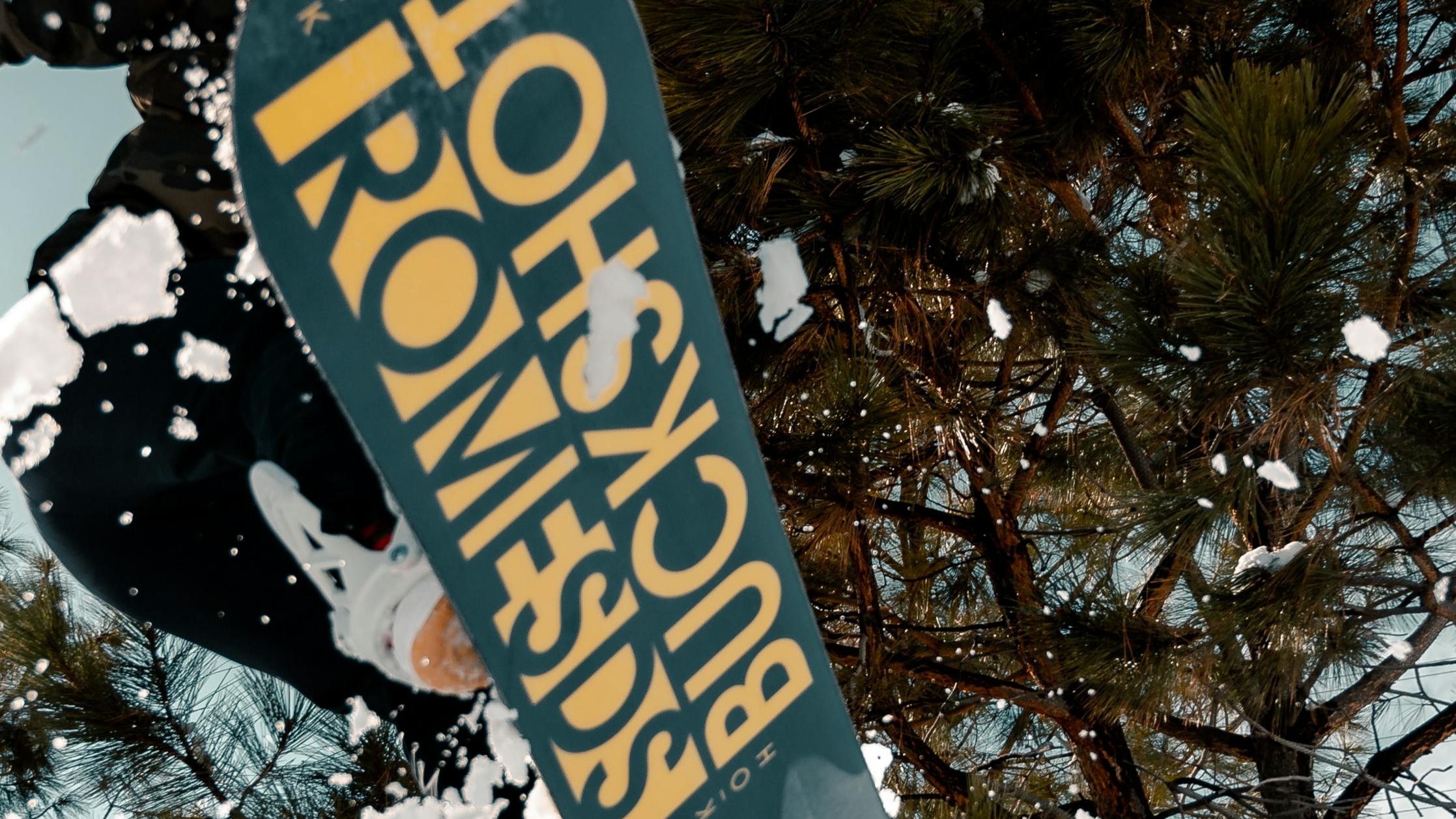 A snowboarder jumping where all you can see are trees and the base of his snowboard which says "Rome Buckshot."