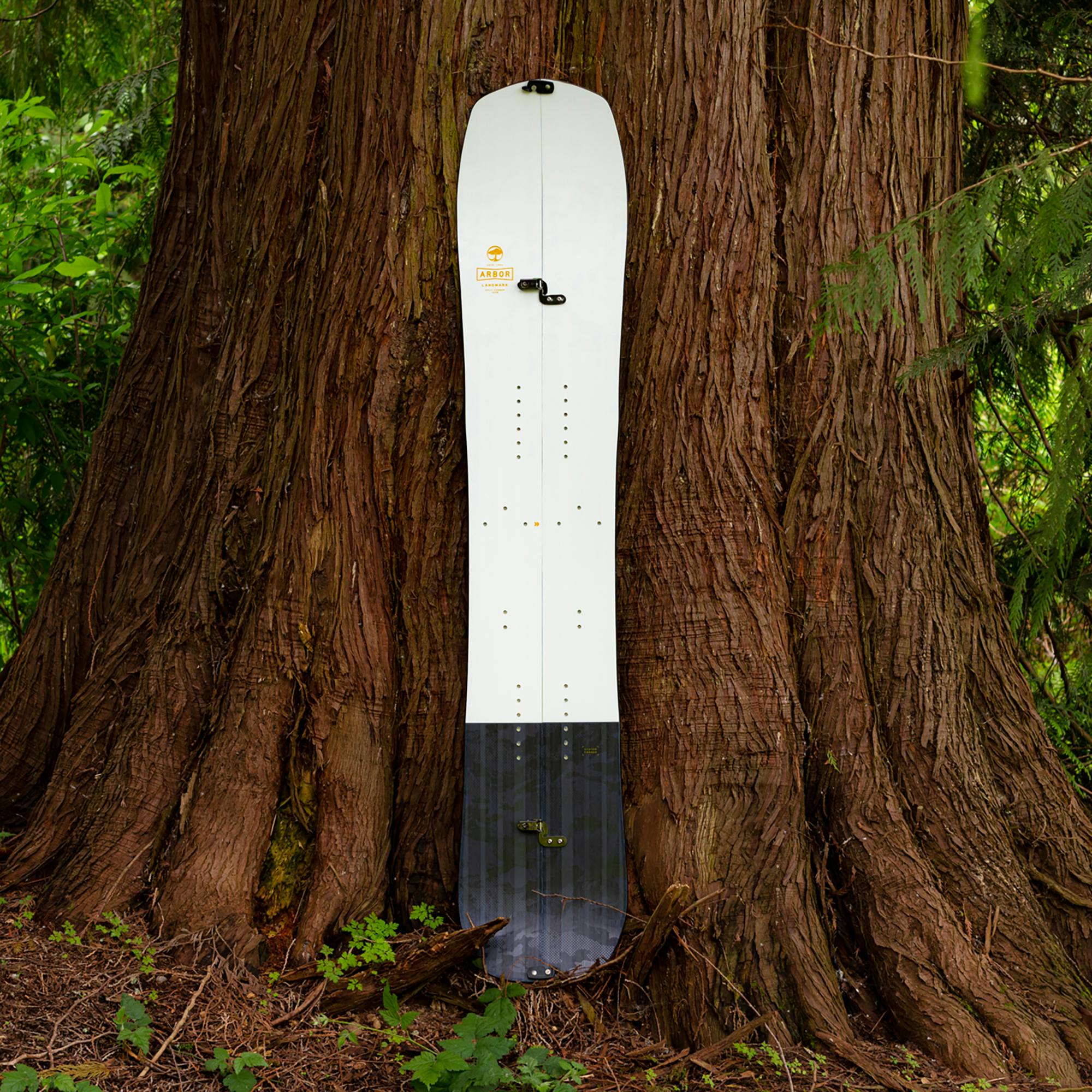 Arbor Landmark Camber Splitboard · 2024 · 158 cm