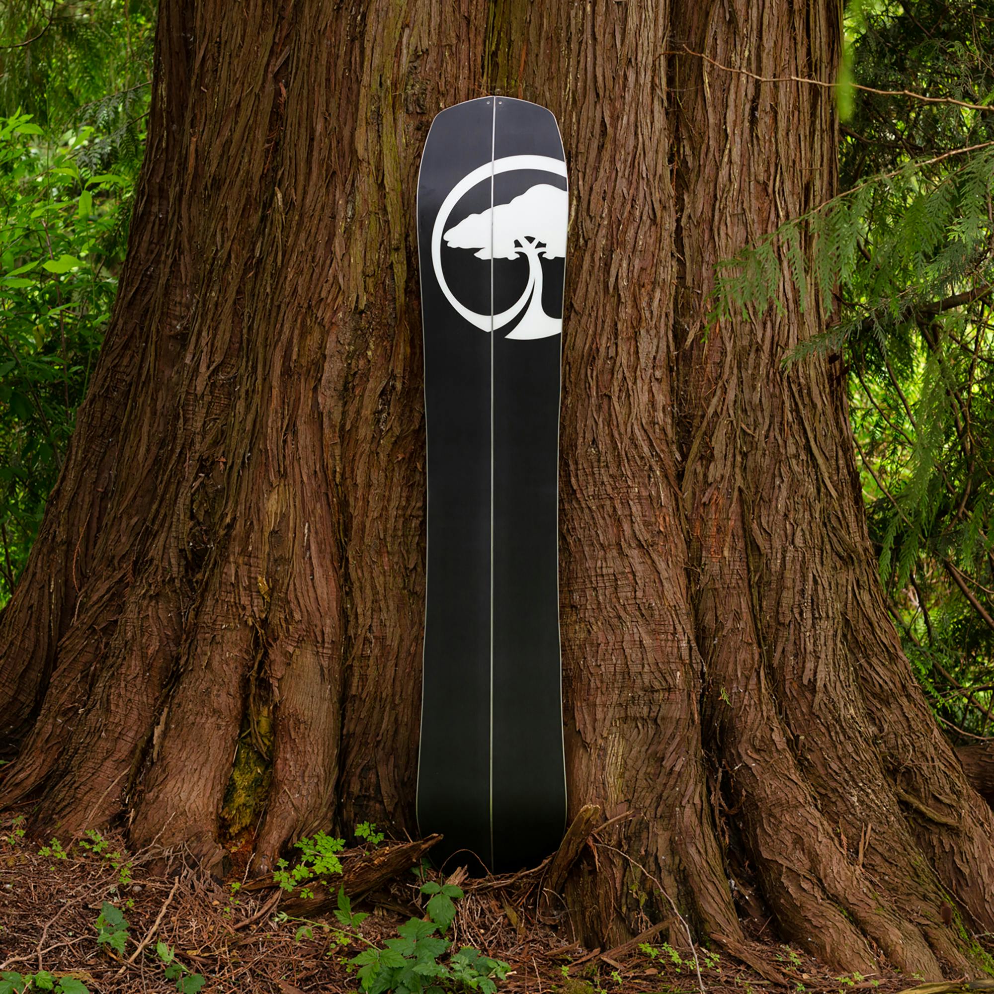 Arbor Landmark Camber Splitboard · 2024 · 161 cm