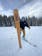 Expert Allie Staffen skiing on NYE