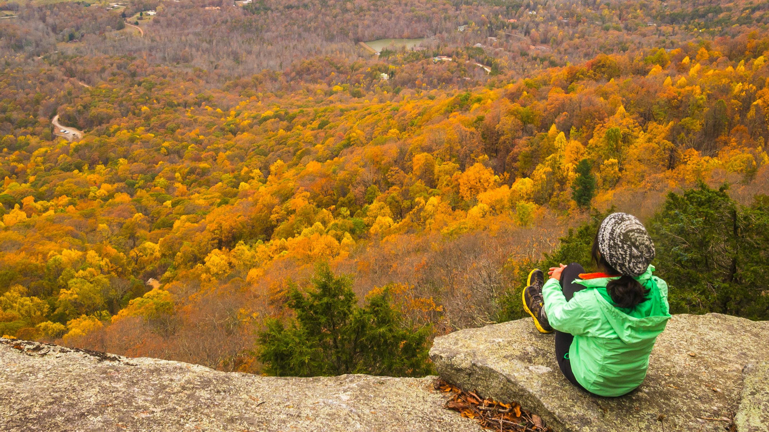 A woman sitting on a rock at the top of a forest of colored trees. 