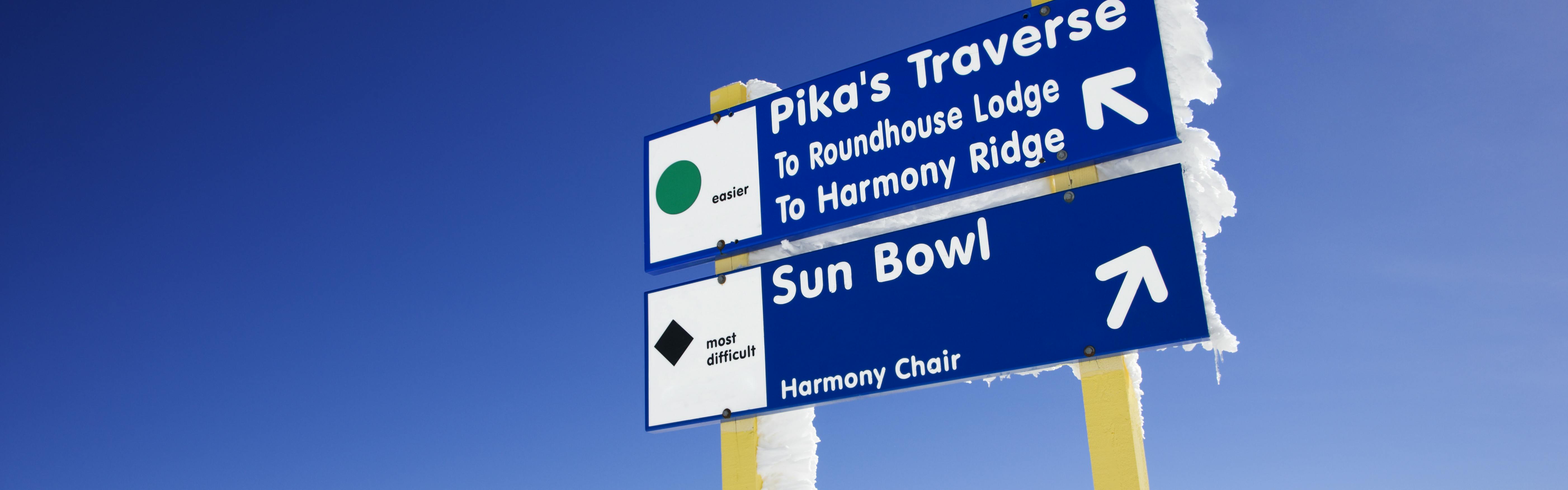 A ski sign with two runs listed, one is a green circle and another is a black diamond. 