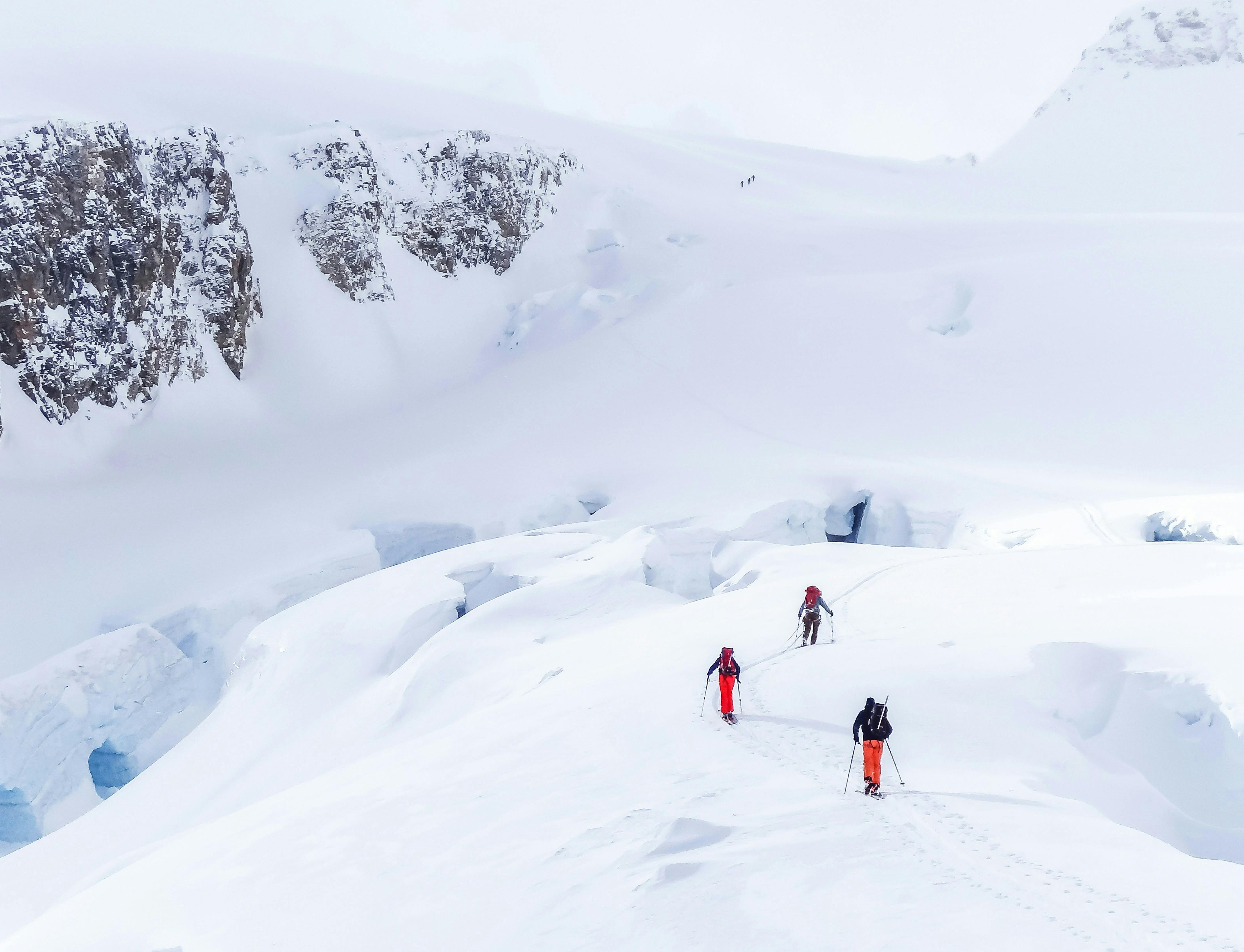 The Top 5 Recommended Ski Pants For A Durable And Waterproof Backcountry  Experience