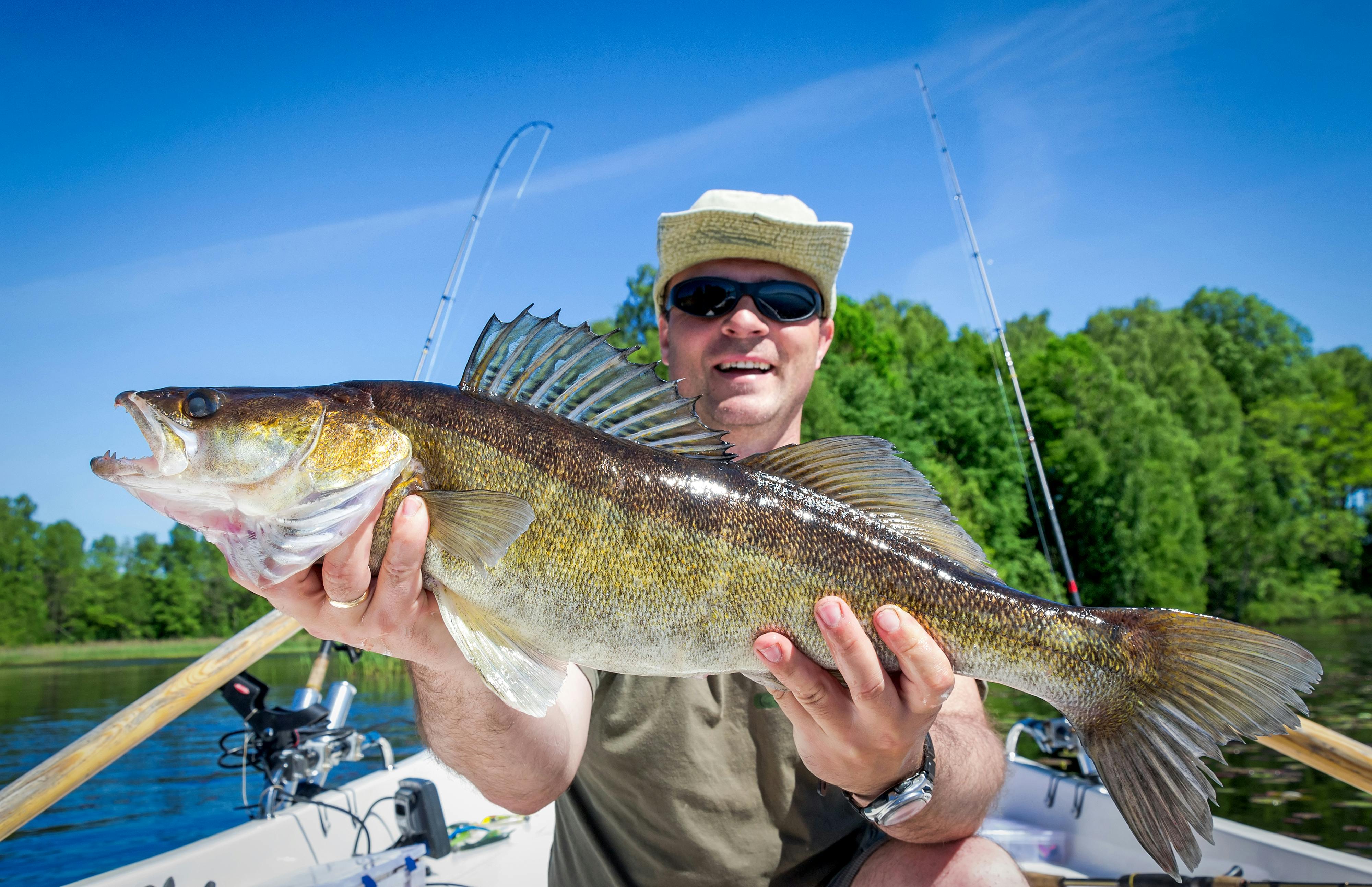 Walleye Fishing Gear Decoded: An Expert Guide to the Best Rods, Reels, and  More