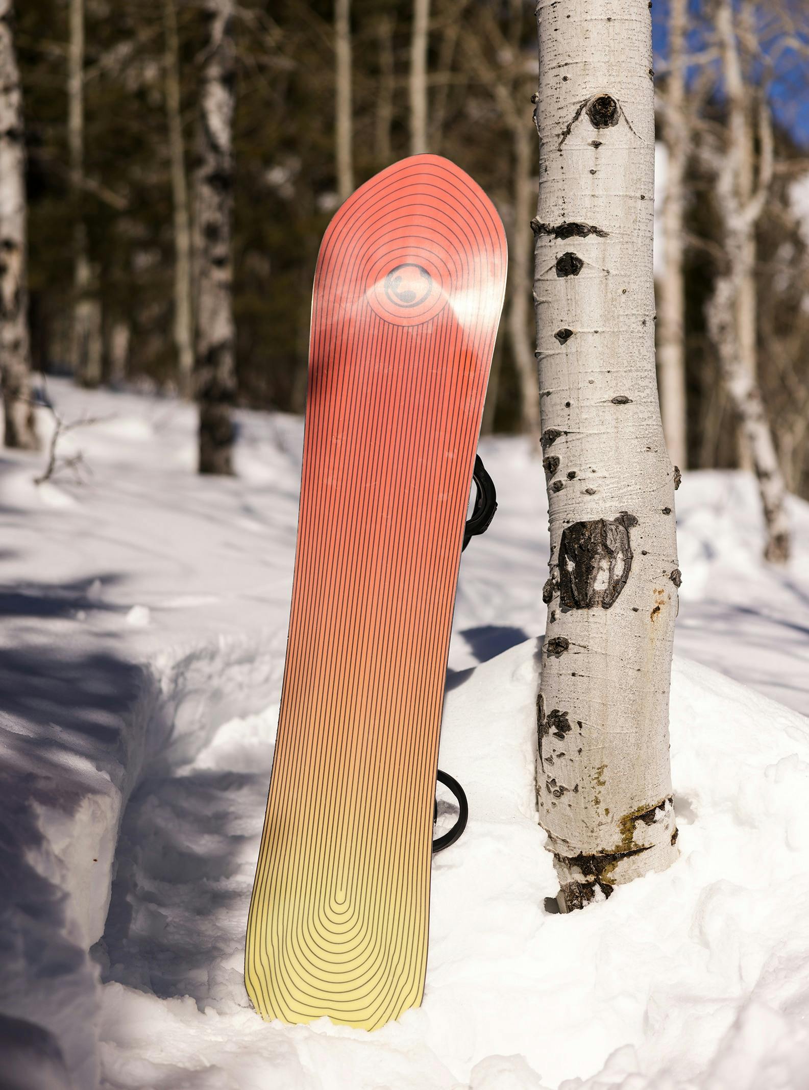 Burton Fish 3D Snowboard · 2024 · 151 cm