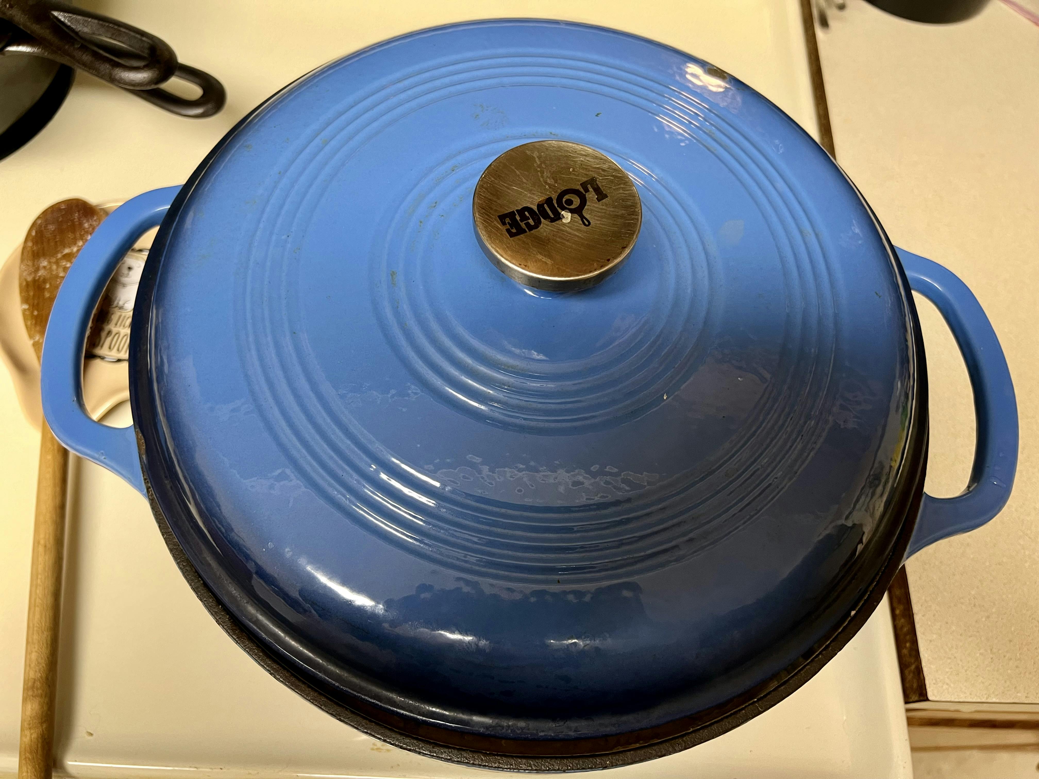 Why Is This The Least Useful Lodge Cast Iron Dutch Oven! 