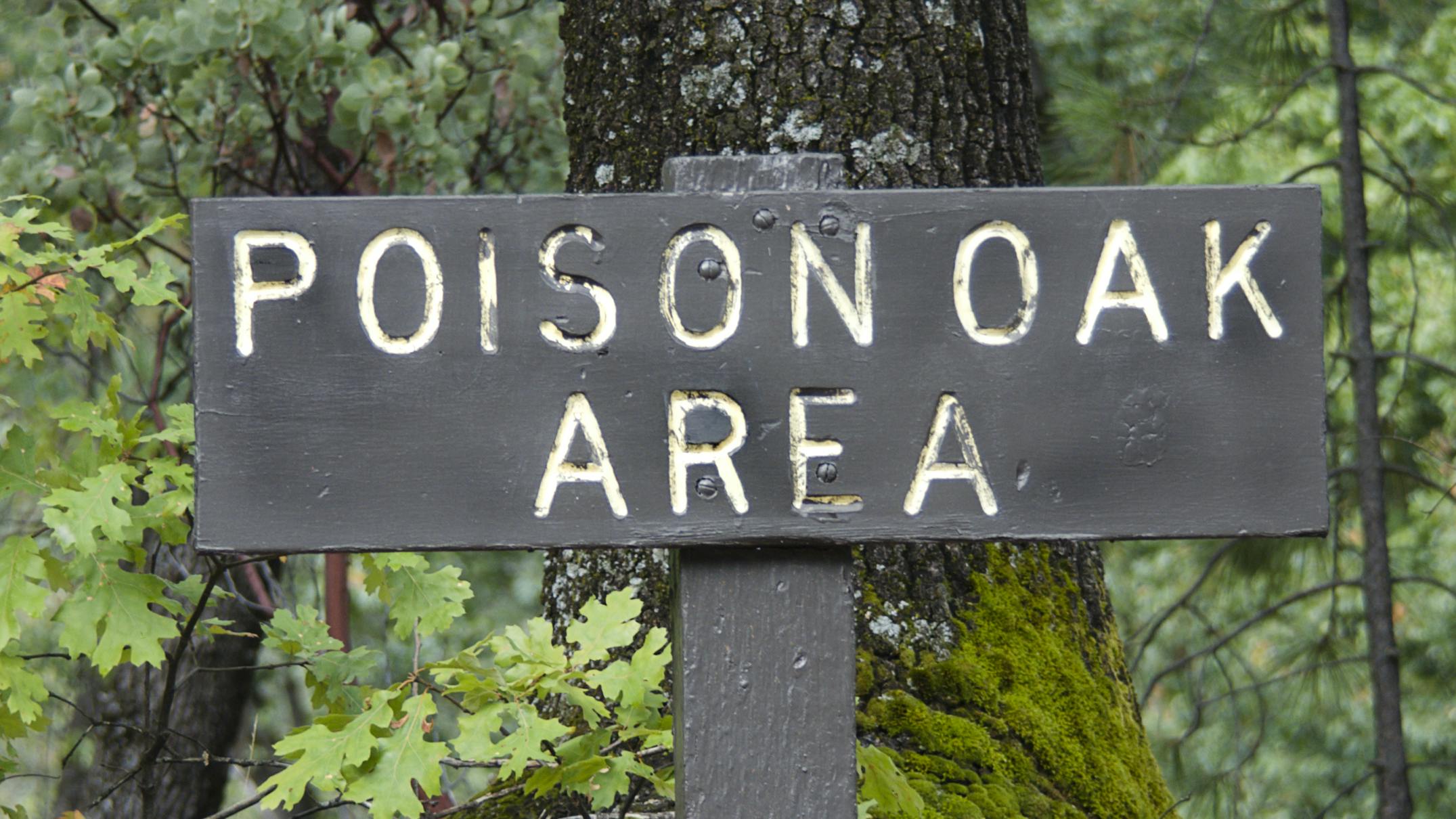 A sign that reads "Poison Oak Area".