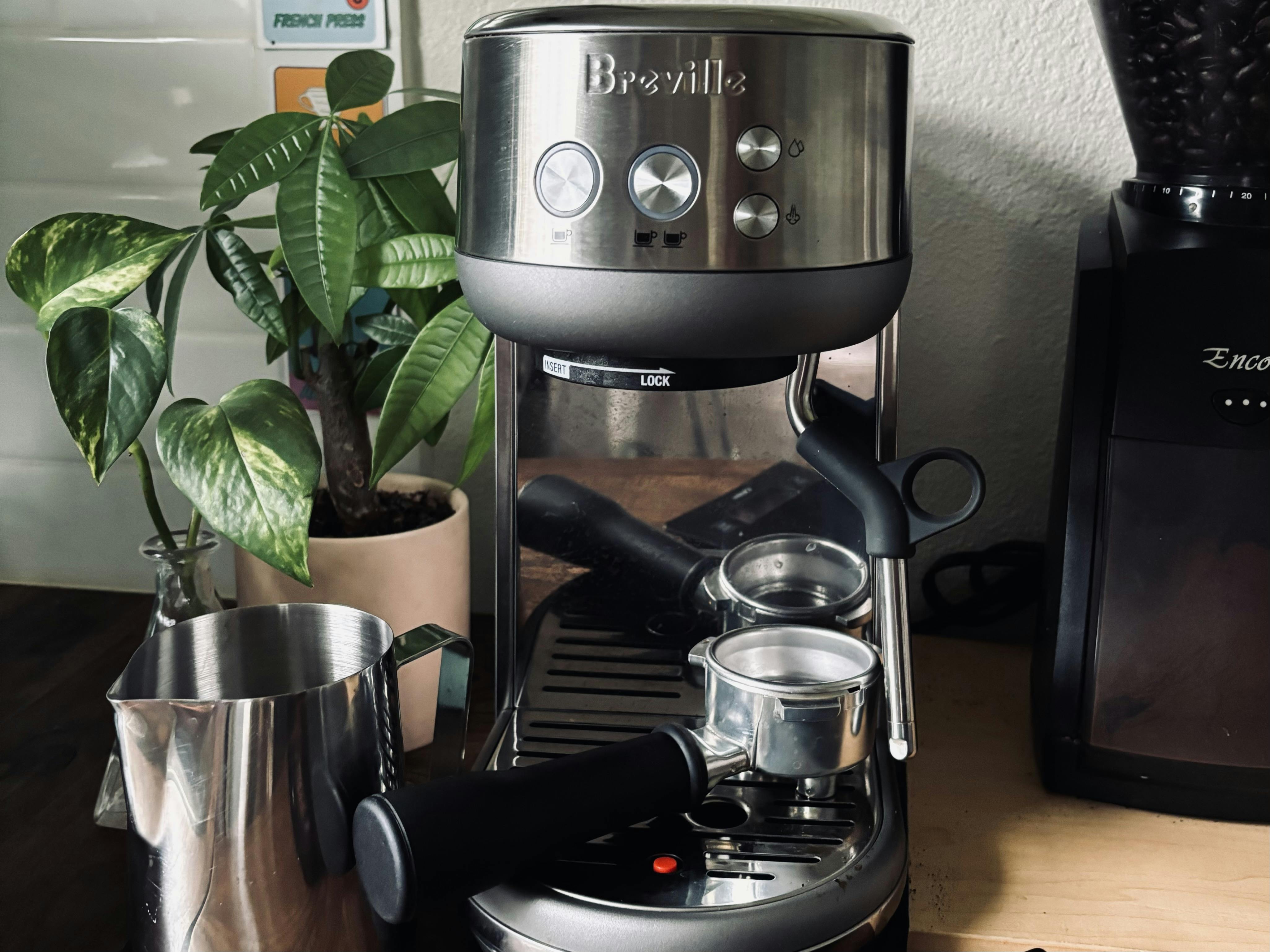 Expert Review Breville Bambino Espresso Machine Curated