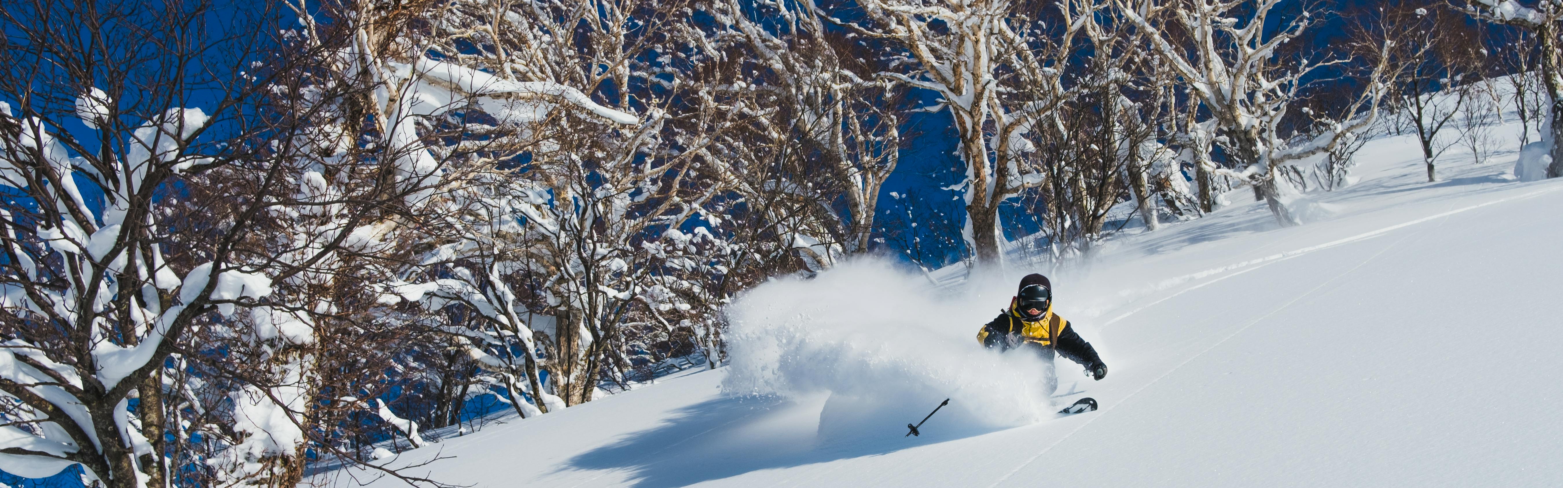 Why Some Skiers Don't Like Powder Skiing and How to Make Sure You Don't  Wind Up That Way